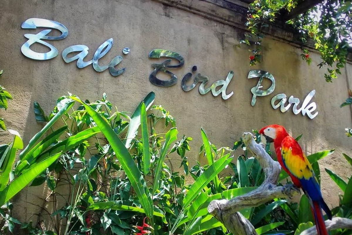 Bali Bird Park Thumbnail