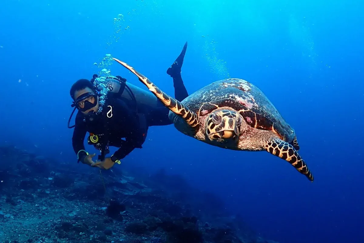 Bali Diving Tour Thumbnail