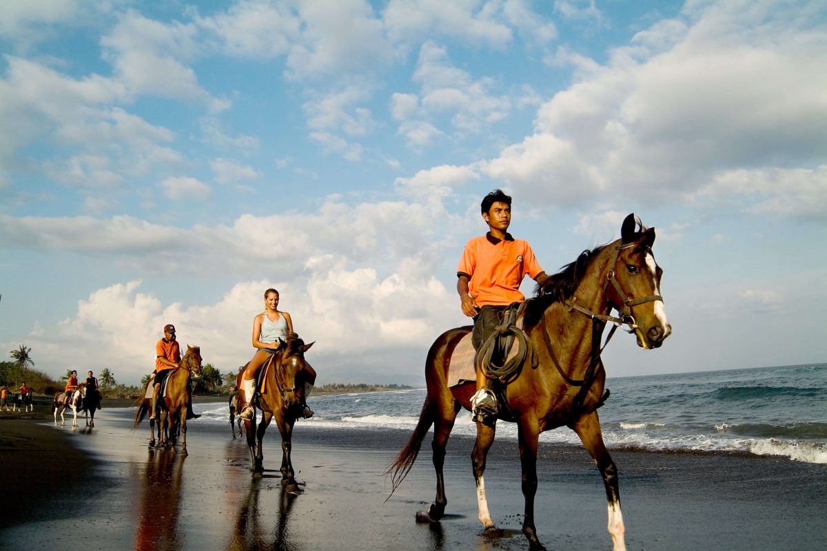 Bali Horse Riding Thumbnail