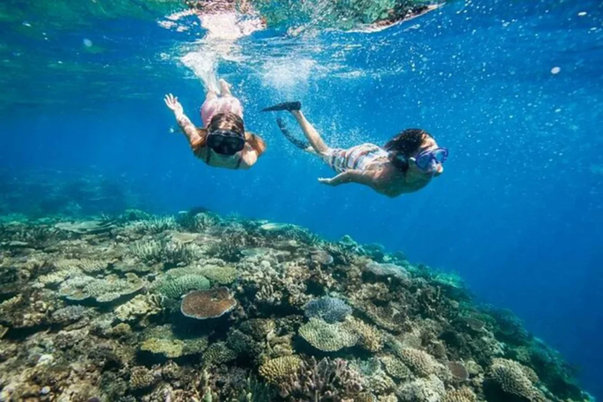 Bali Snorkeling Tour Thumbnail