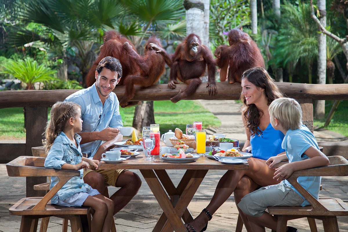 Breakfast with Orang Utan 3
