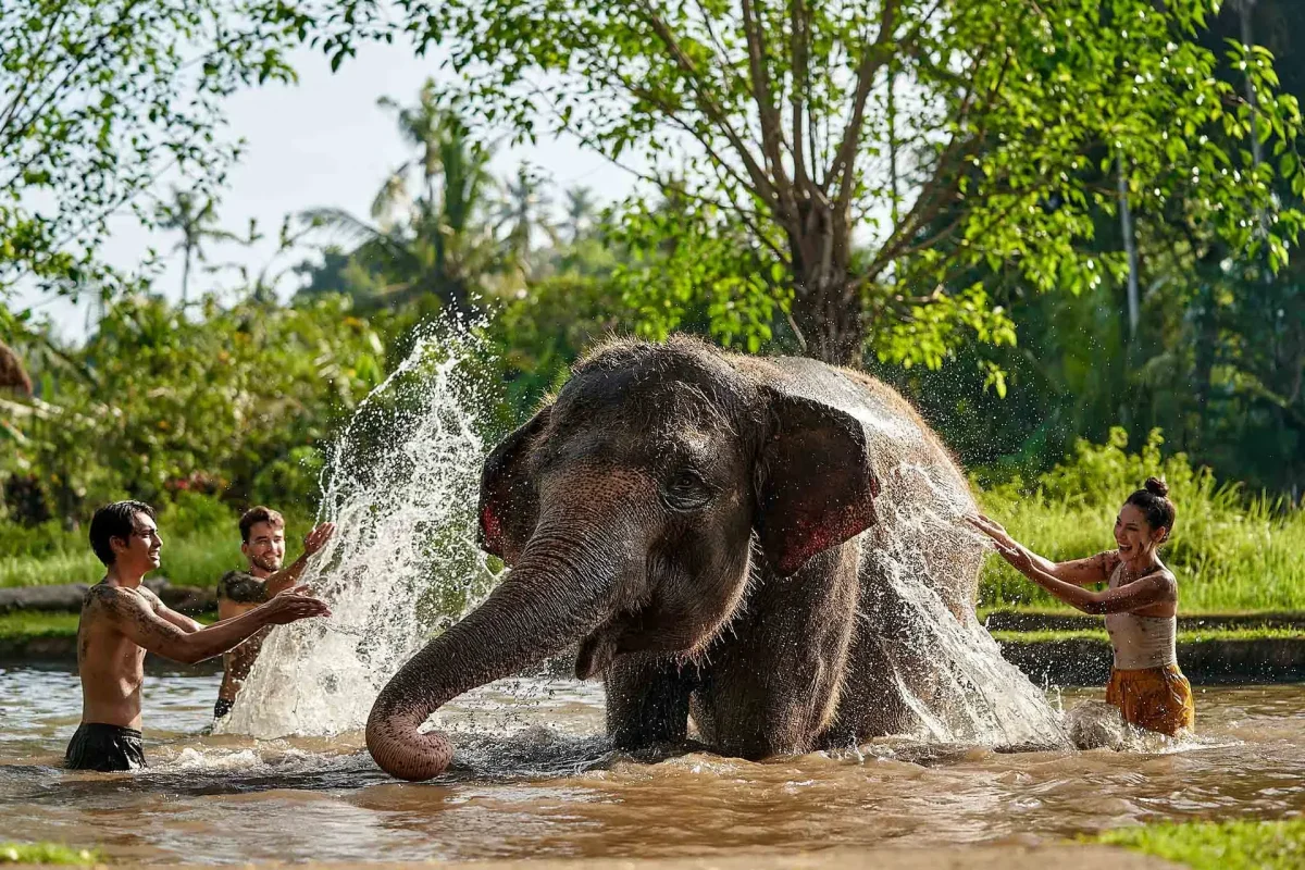 Mud Fun 1