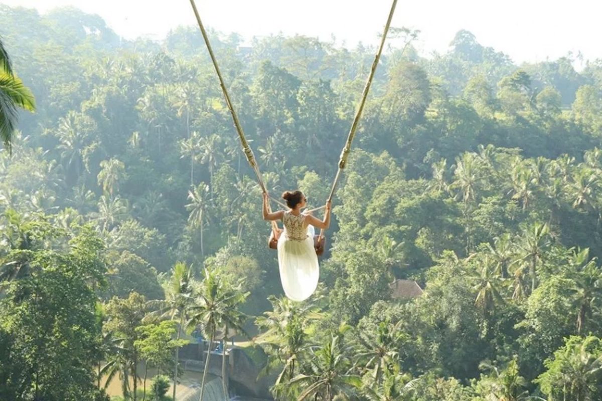 Ubud Tour & Bali Swing Thumbnail